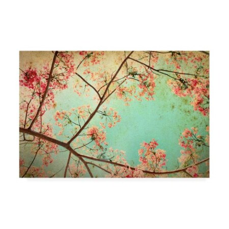 Trademark Fine Art PhotoINC Studio 'Flamboyant I' Canvas Art, 30x47 IC01651-C3047GG